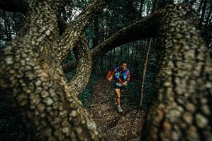 BIB: 
                            <button type="button" onclick="openModal(25692522)" class="btn btn-primary btn-sm float-right btn-popup" data-toggle="modal" data-target=".modal-high-quality">
                        <i class="fas fa-shopping-cart"></i> Add to Cart
                    </button>
                                            <button type="button" onclick="isThisMe(25692522, true)" class="btn btn-success btn-sm float-right btn-popup btn-isme hidden" data-toggle="tooltip" data-placement="bottom" title="นี่คือรูปของคุณใช่ไหม คลิกที่นี่เพื่อเอาเข้าอัลบั้ม">
                        <i class="fas fa-plus"></i> Add to album
                    </button>
                    <button type="button" onclick="isThisMe(25692522, false)" class="btn btn-warning btn-sm float-right btn-popup btn-isnotme hidden">
                        <i class="fas fa-ban"></i> Remove from album
                    </button>